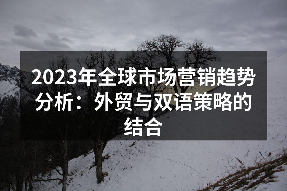 2023年全球市场营销趋势分析：外贸与双
